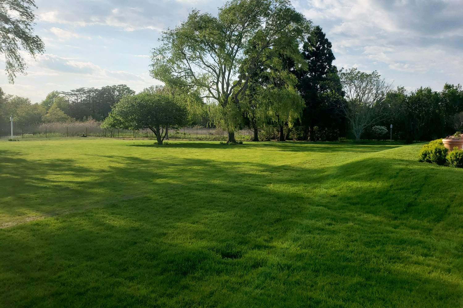 Suffolk Long Island Hydroseeding Fast Growing Grass 6 Weeks