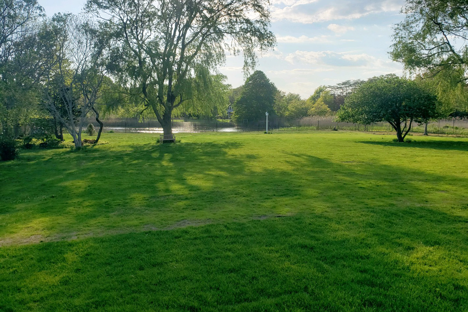 Suffolk Long Island Hydroseeding Fast Growing Grass 6 Weeks