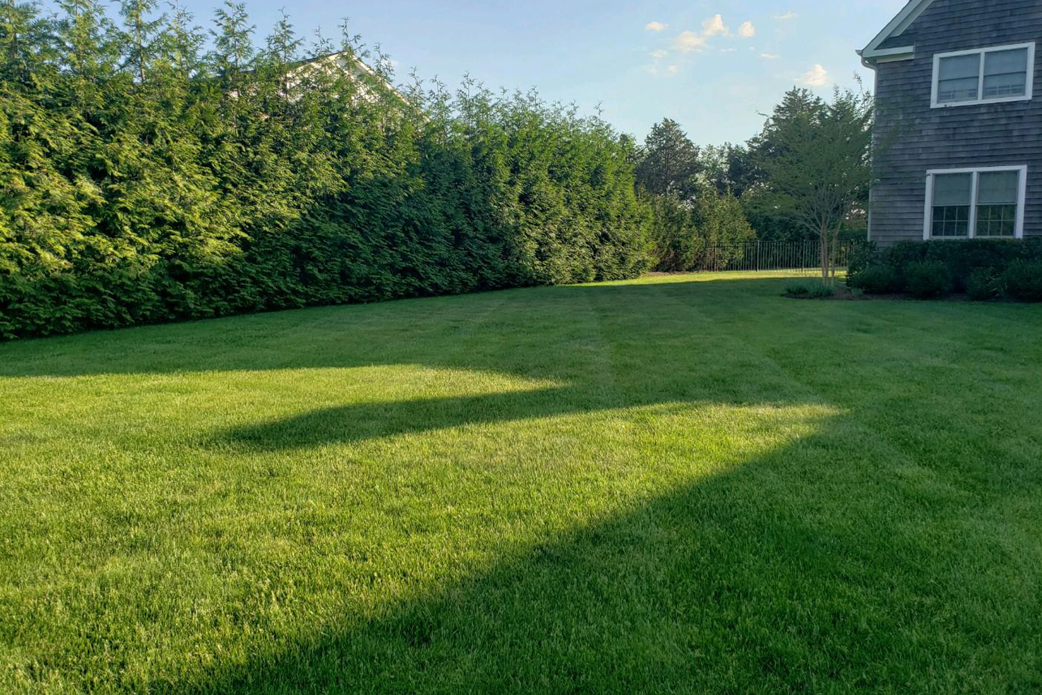 Suffolk Long Island Hydroseeding Results Residential Home 3 years after hydroseeding