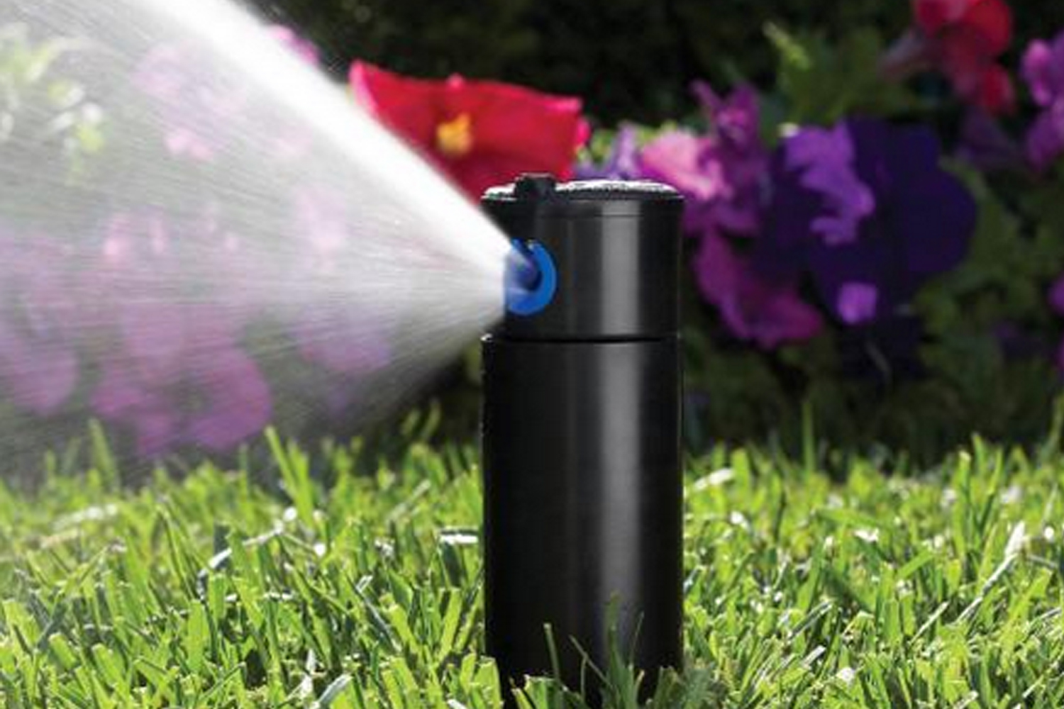 Hydroseeding Plantings Grading Toposil Sprinkler Systems